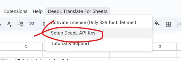setup api key